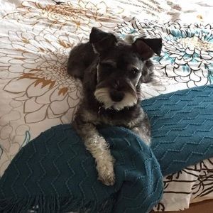 Meet your Posher, Patti